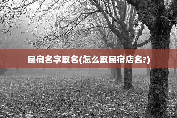 民宿名字取名(怎么取民宿店名?)