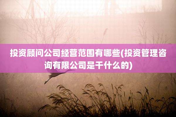 投资顾问公司经营范围有哪些(投资管理咨询有限公司是干什么的)