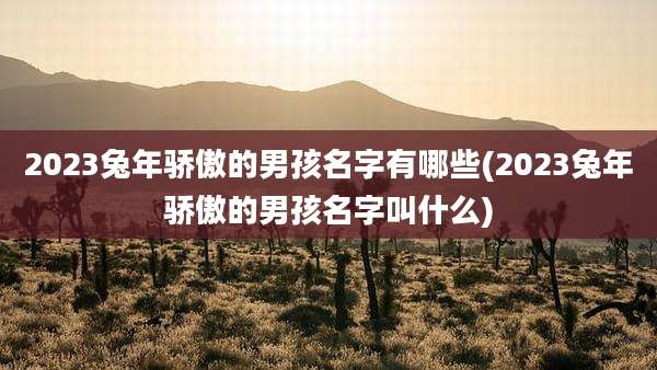 2023兔年骄傲的男孩名字有哪些(2023兔年骄傲的男孩名字叫什么)