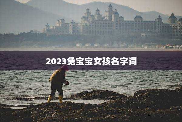 2023兔宝宝女孩名字词