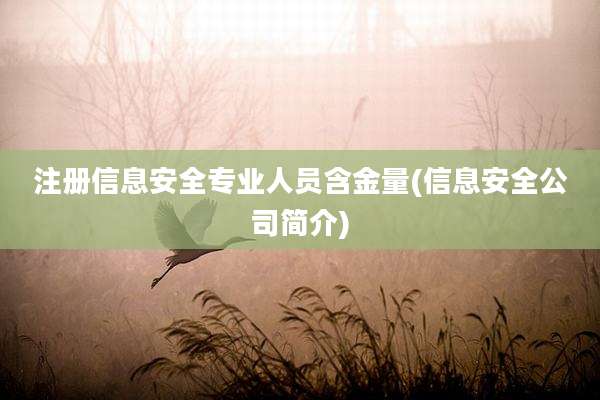 注册信息安全专业人员含金量(信息安全公司简介)