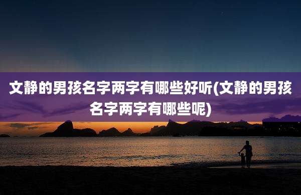 文静的男孩名字两字有哪些好听(文静的男孩名字两字有哪些呢)