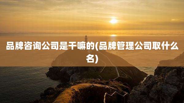 品牌咨询公司是干嘛的(品牌管理公司取什么名)