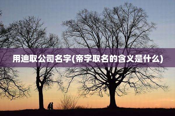 用迪取公司名字(帝字取名的含义是什么)