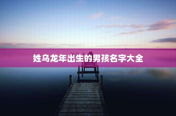 姓乌龙年出生的男孩名字大全