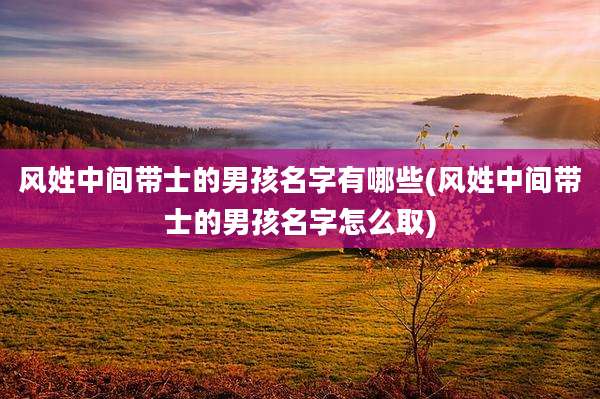 风姓中间带士的男孩名字有哪些(风姓中间带士的男孩名字怎么取)
