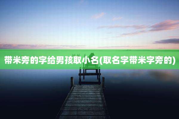 带米旁的字给男孩取小名(取名字带米字旁的)
