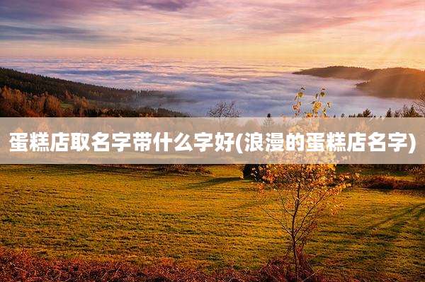 蛋糕店取名字带什么字好(浪漫的蛋糕店名字)