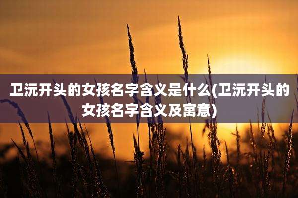 卫沅开头的女孩名字含义是什么(卫沅开头的女孩名字含义及寓意)
