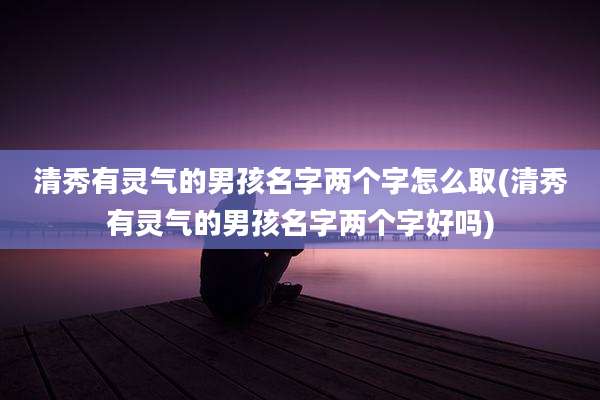 清秀有灵气的男孩名字两个字怎么取(清秀有灵气的男孩名字两个字好吗)