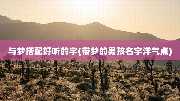 与梦搭配好听的字(带梦的男孩名字洋气点)