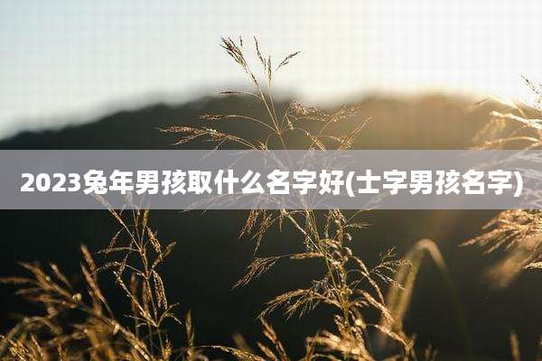 2023兔年男孩取什么名字好(士字男孩名字)
