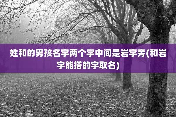 姓和的男孩名字两个字中间是岩字旁(和岩字能搭的字取名)