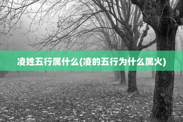 凌姓五行属什么(凌的五行为什么属火)