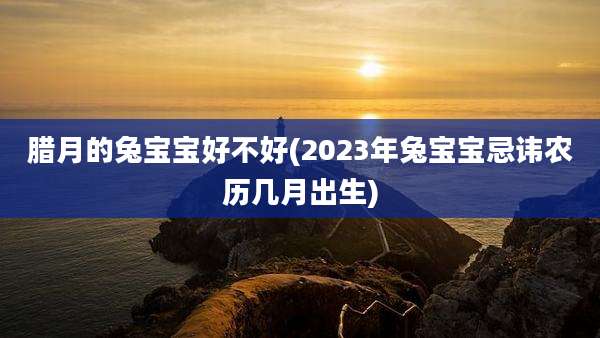 腊月的兔宝宝好不好(2023年兔宝宝忌讳农历几月出生)