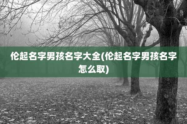 伦起名字男孩名字大全(伦起名字男孩名字怎么取)