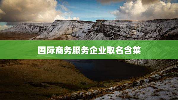 国际商务服务企业取名含莱