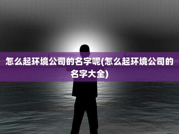 怎么起环境公司的名字呢(怎么起环境公司的名字大全)