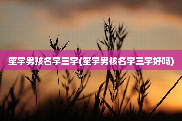 笙字男孩名字三字(笙字男孩名字三字好吗)