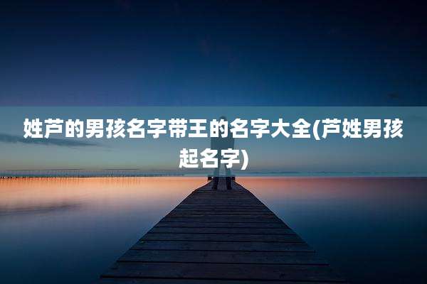 姓芦的男孩名字带王的名字大全(芦姓男孩起名字)