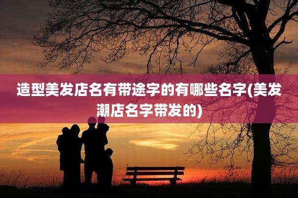 造型美发店名有带途字的有哪些名字(美发潮店名字带发的)