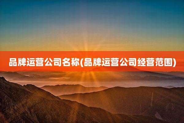 品牌运营公司名称(品牌运营公司经营范围)