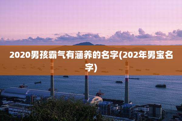 2020男孩霸气有涵养的名字(202年男宝名字)