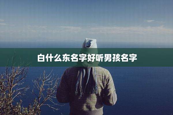 白什么东名字好听男孩名字