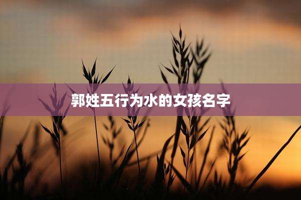 郭姓五行为水的女孩名字