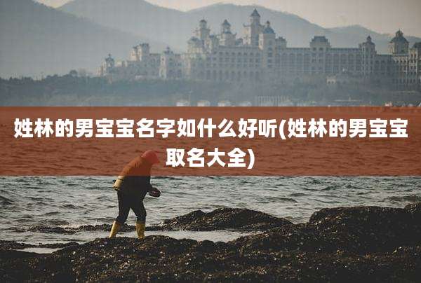 姓林的男宝宝名字如什么好听(姓林的男宝宝取名大全)