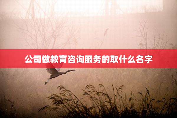 公司做教育咨询服务的取什么名字