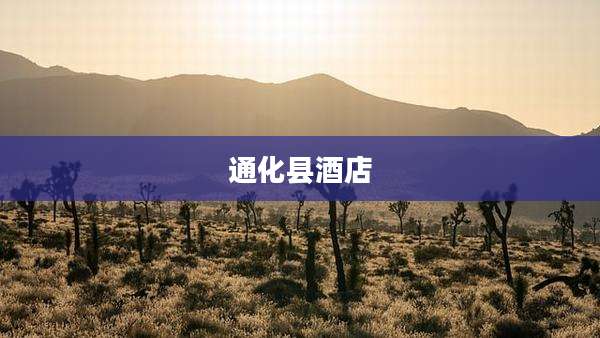 通化县酒店