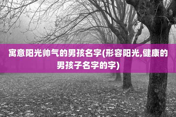 寓意阳光帅气的男孩名字(形容阳光,健康的男孩子名字的字)