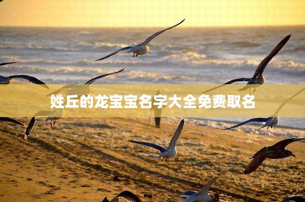 姓丘的龙宝宝名字大全免费取名