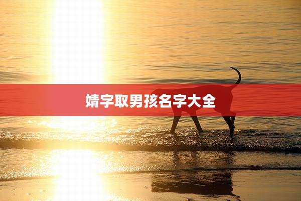 婧字取男孩名字大全