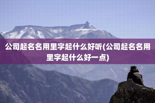 公司起名名用里字起什么好听(公司起名名用里字起什么好一点)