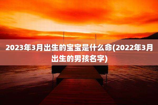 2023年3月出生的宝宝是什么命(2022年3月出生的男孩名字)