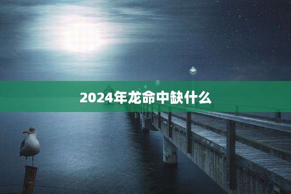 2024年龙命中缺什么