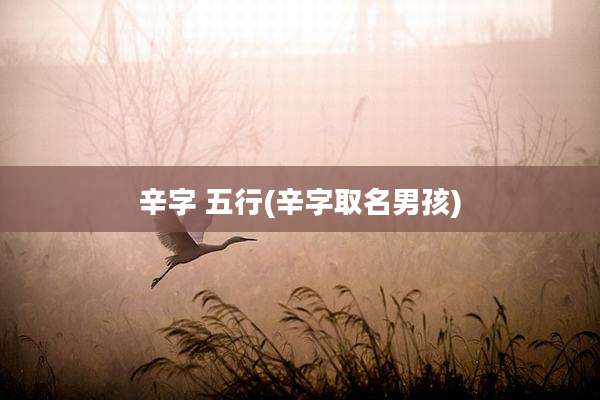辛字 五行(辛字取名男孩)