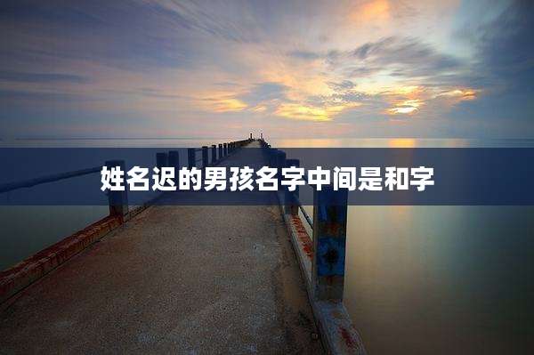 姓名迟的男孩名字中间是和字