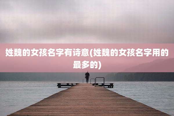 姓魏的女孩名字有诗意(姓魏的女孩名字用的最多的)