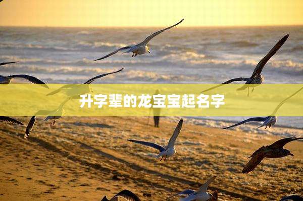 升字辈的龙宝宝起名字