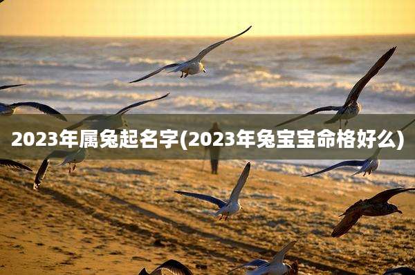 2023年属兔起名字(2023年兔宝宝命格好么)