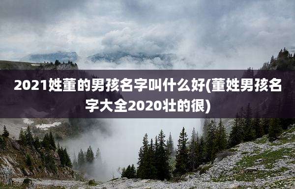 2021姓董的男孩名字叫什么好(董姓男孩名字大全2020壮的很)