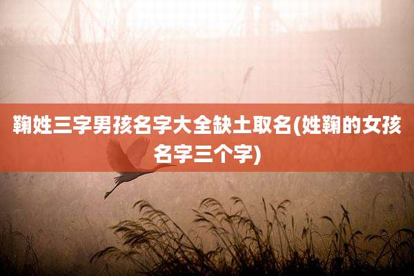鞠姓三字男孩名字大全缺土取名(姓鞠的女孩名字三个字)