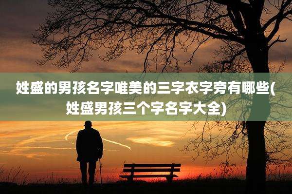 姓盛的男孩名字唯美的三字衣字旁有哪些(姓盛男孩三个字名字大全)