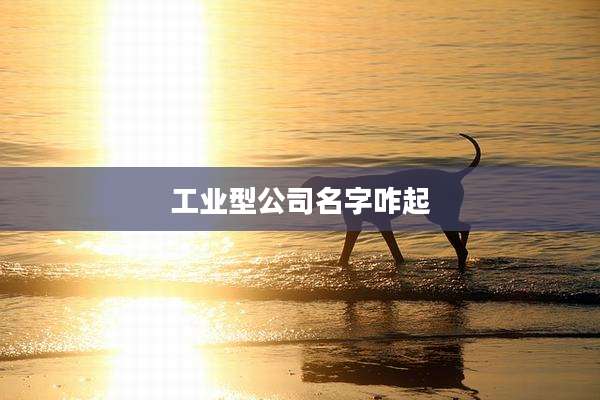 工业型公司名字咋起