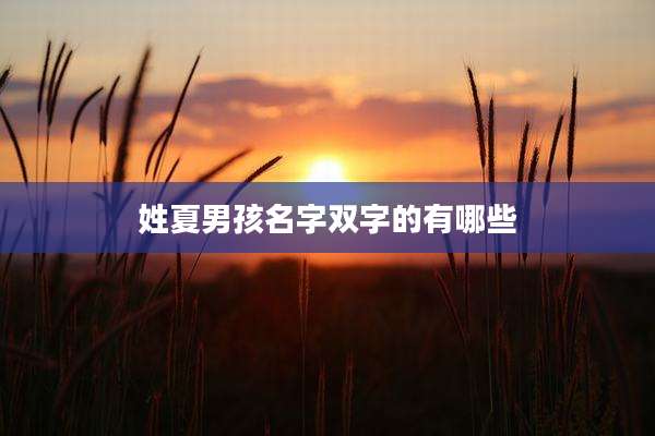姓夏男孩名字双字的有哪些