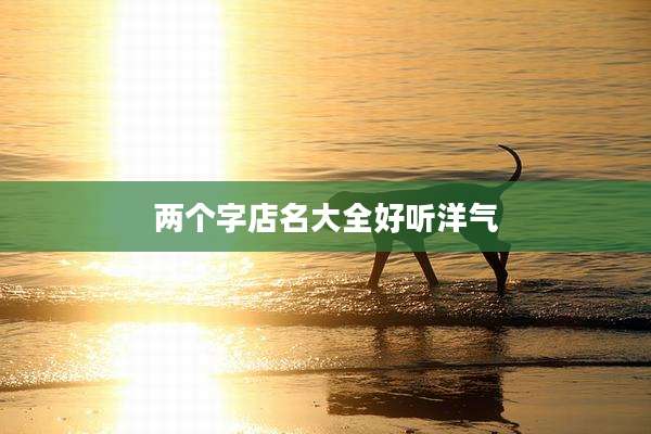 两个字店名大全好听洋气