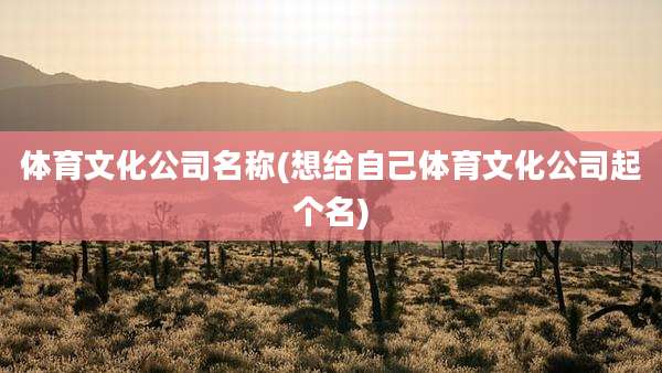 体育文化公司名称(想给自己体育文化公司起个名)